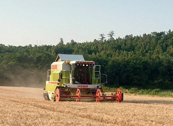 CLAAS DOMINATER