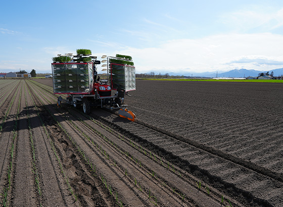 みのる OPT-4 / onion planter